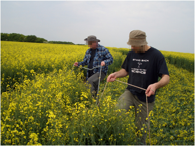 Making the QI crop circle