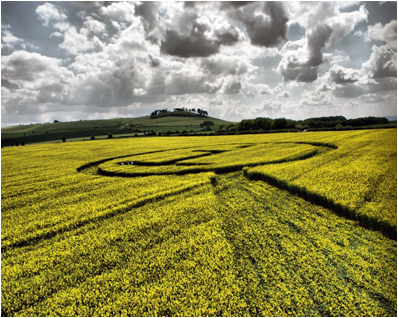 QI crop circle